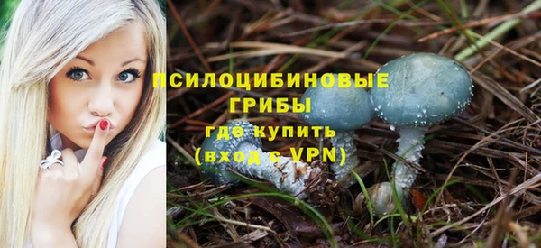 бошки Белокуриха