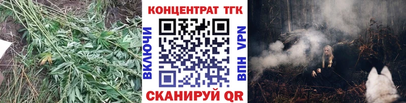 цены   Йошкар-Ола  ТГК Wax 